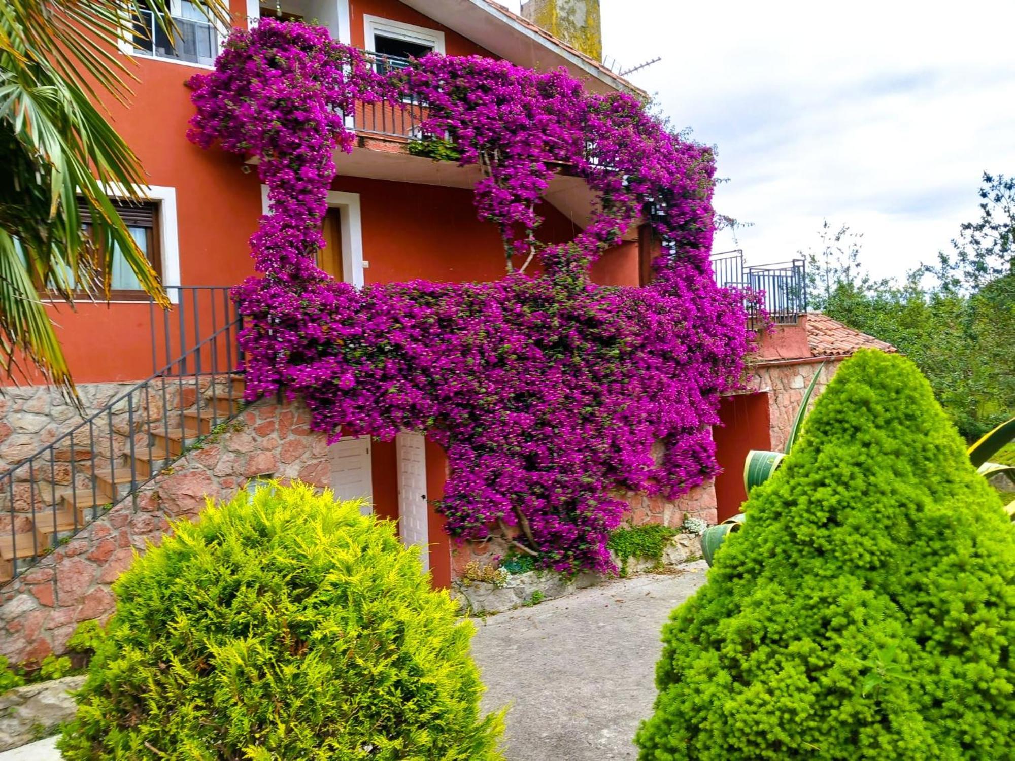 Apartamentos Mariaje Barro (Llanes) Exterior foto