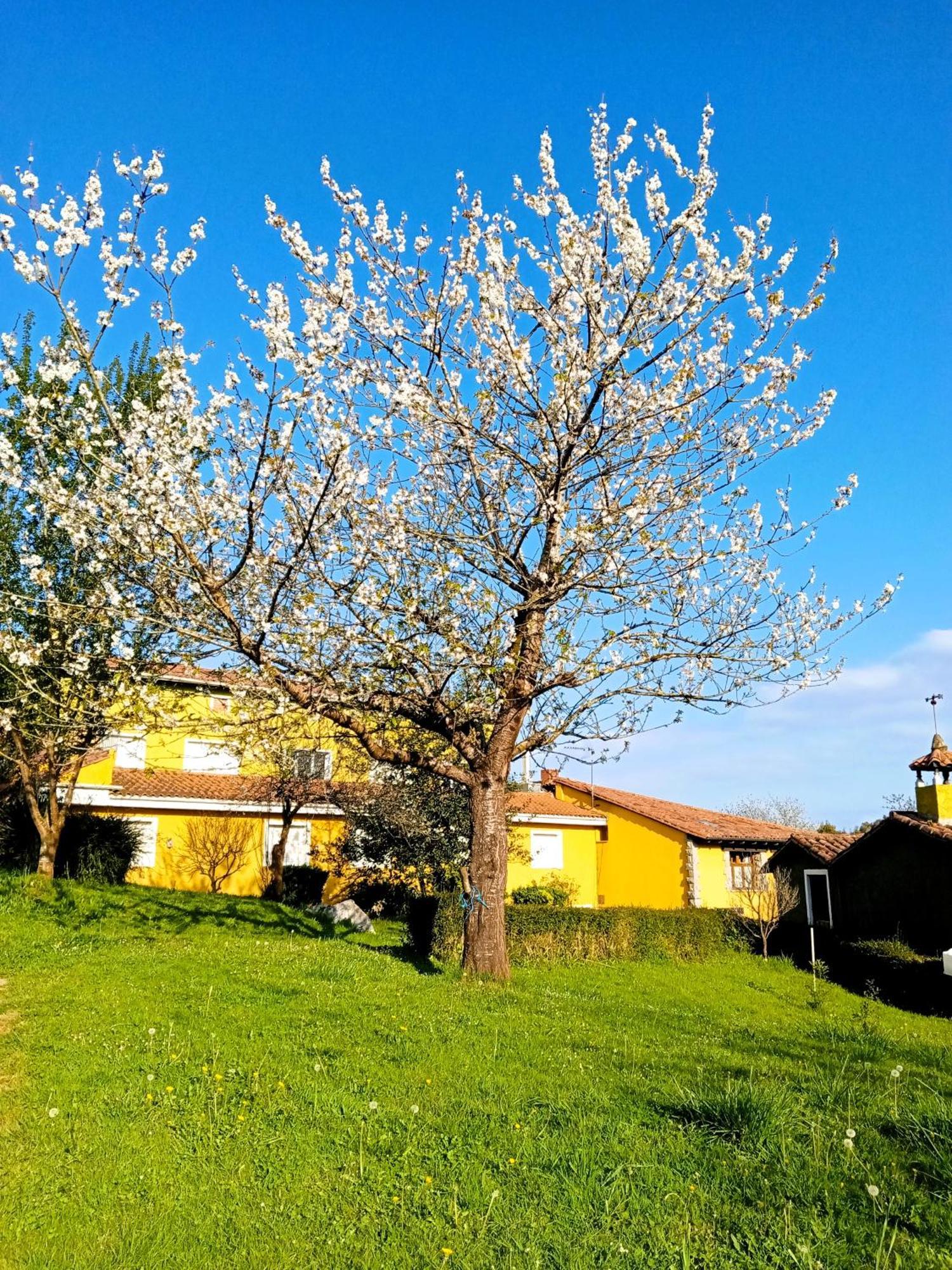 Apartamentos Mariaje Barro (Llanes) Exterior foto